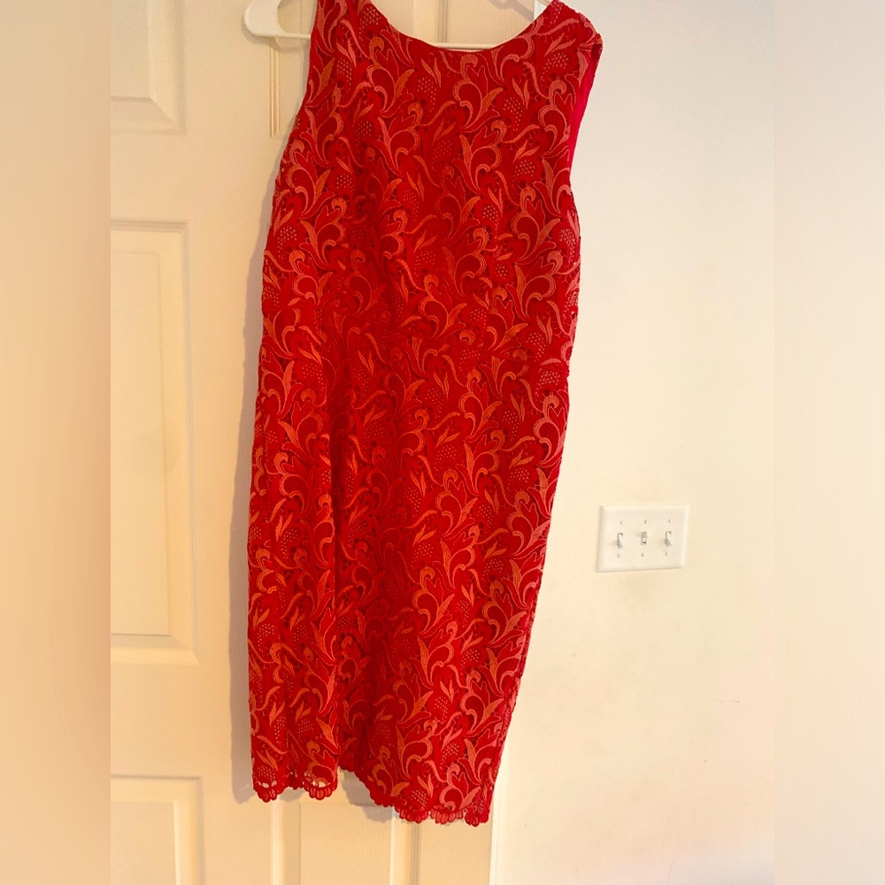 Ann Taylor Lace Dress